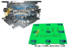 小霞模具小霞模具,专业生产精密托盘模具